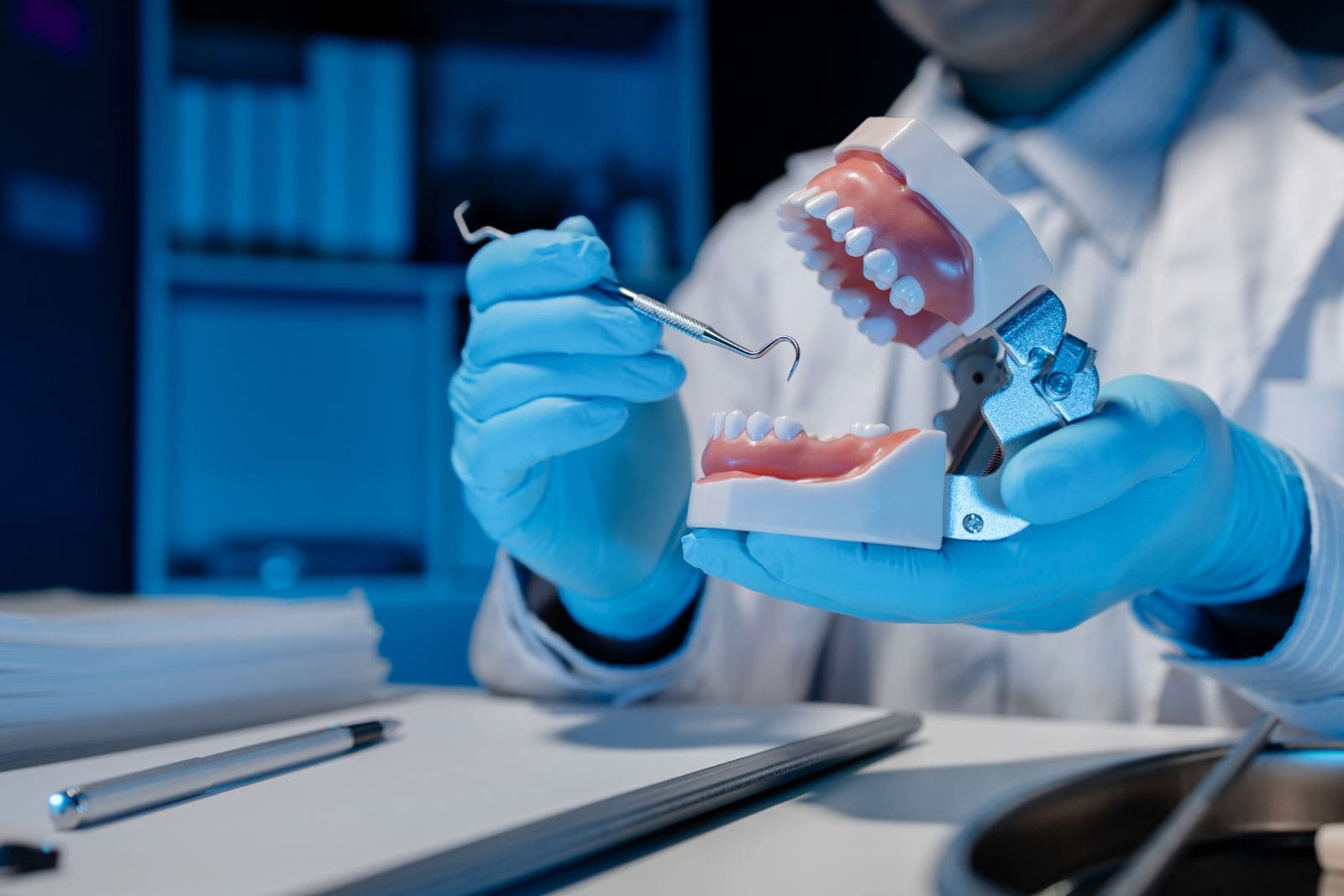 Odontólogo con guantes sujetando un modelo dental articulado y una sonda de exploración