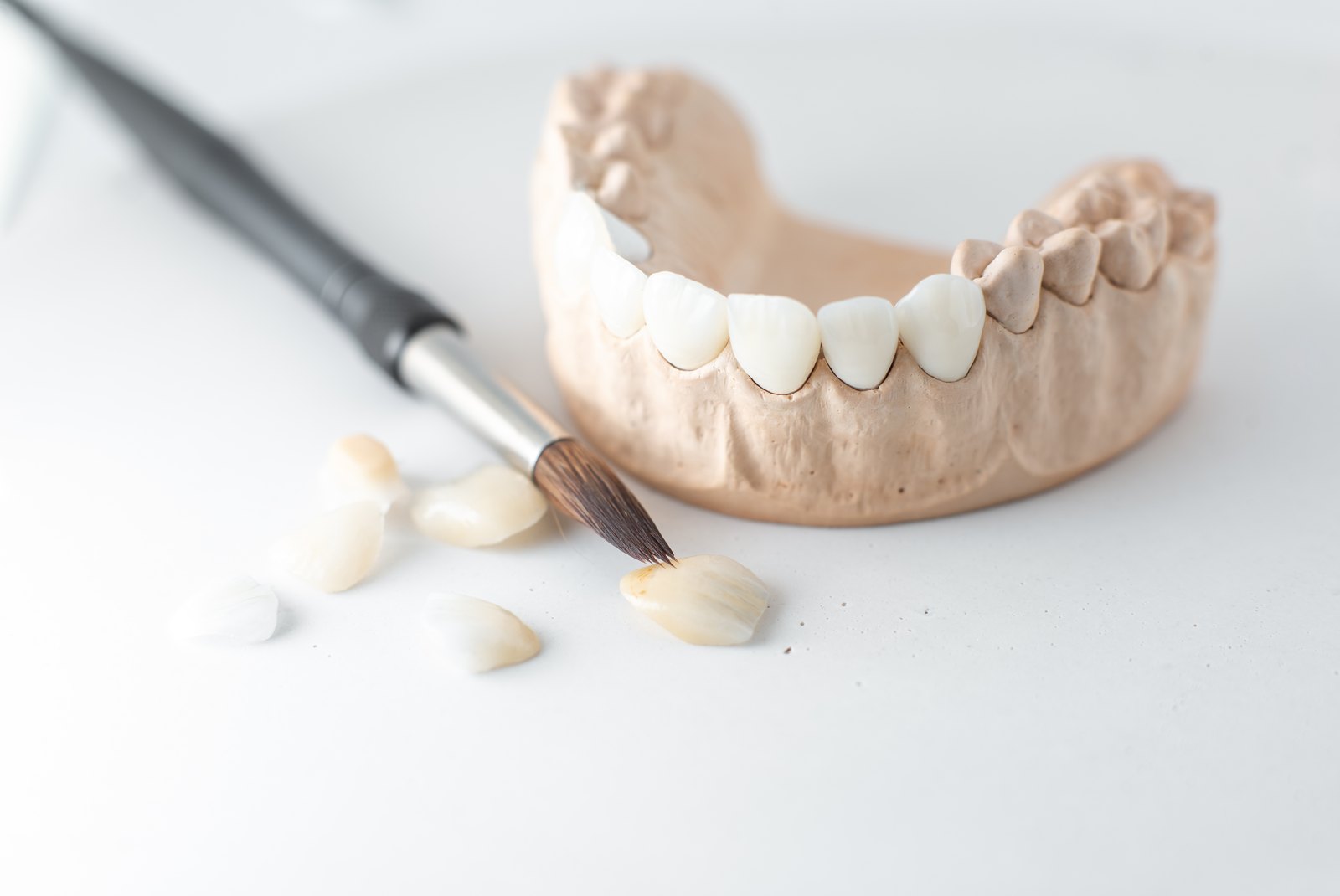 Modelo de arcada con coronas de porcelana y un pincel de laboratorio dental